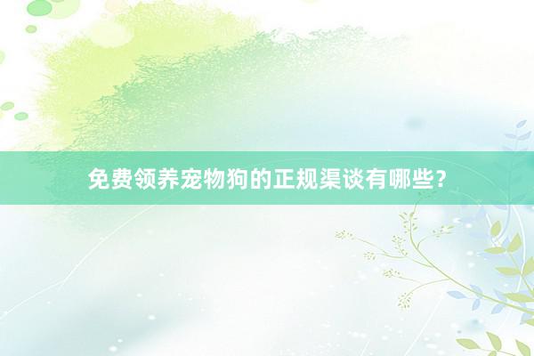 免费领养宠物狗的正规渠谈有哪些?