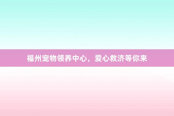 福州宠物领养中心，爱心救济等你来