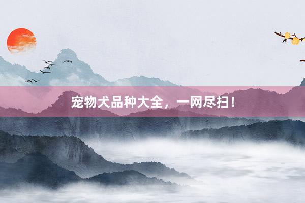 宠物犬品种大全，一网尽扫！